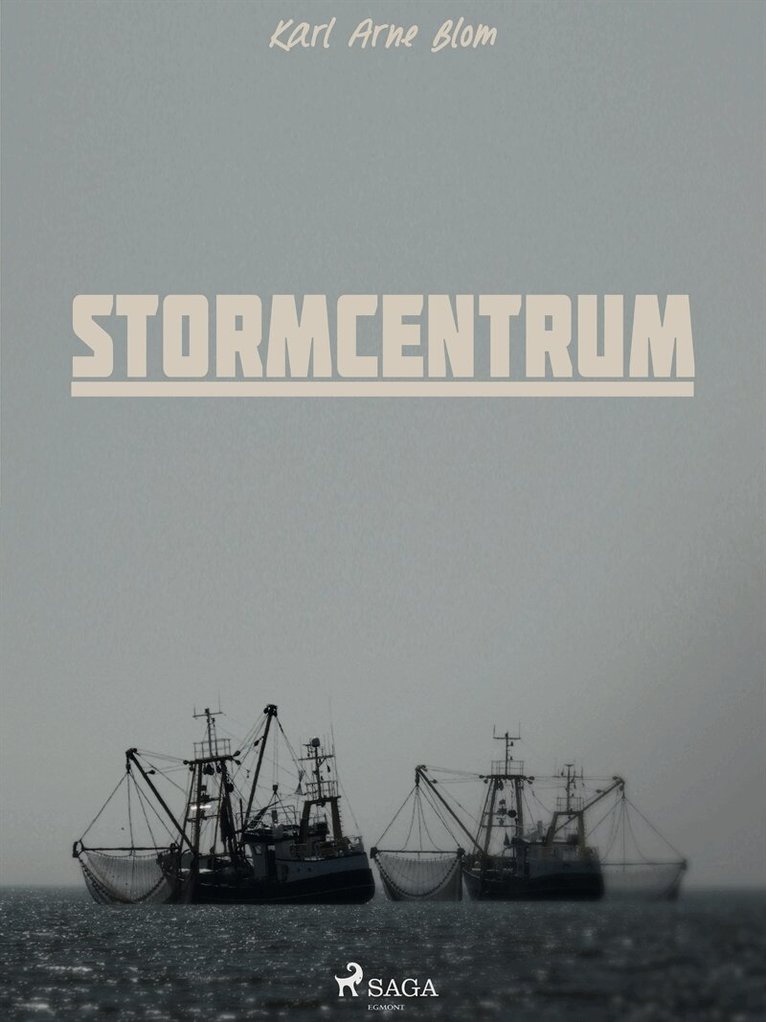 Karl Arne Blom - Stormcentrum, E-bok