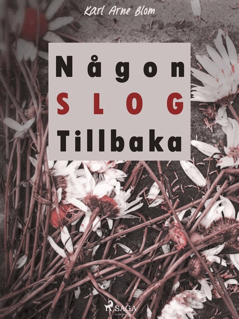 Karl Arne Blom - Någon slog tillbaka, E-bok