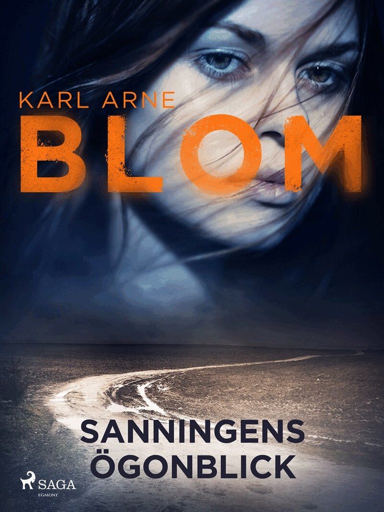 Karl Arne Blom - Sanningens ögonblick, E-bok