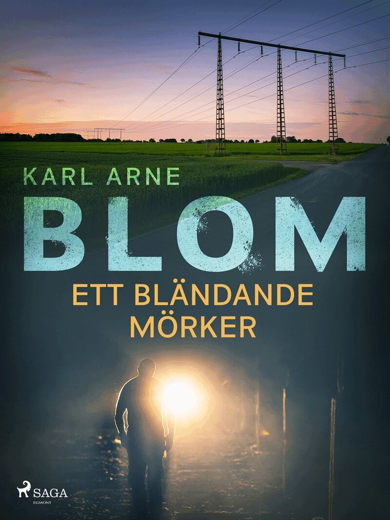Karl Arne Blom - Ett bländande mörker, E-bok