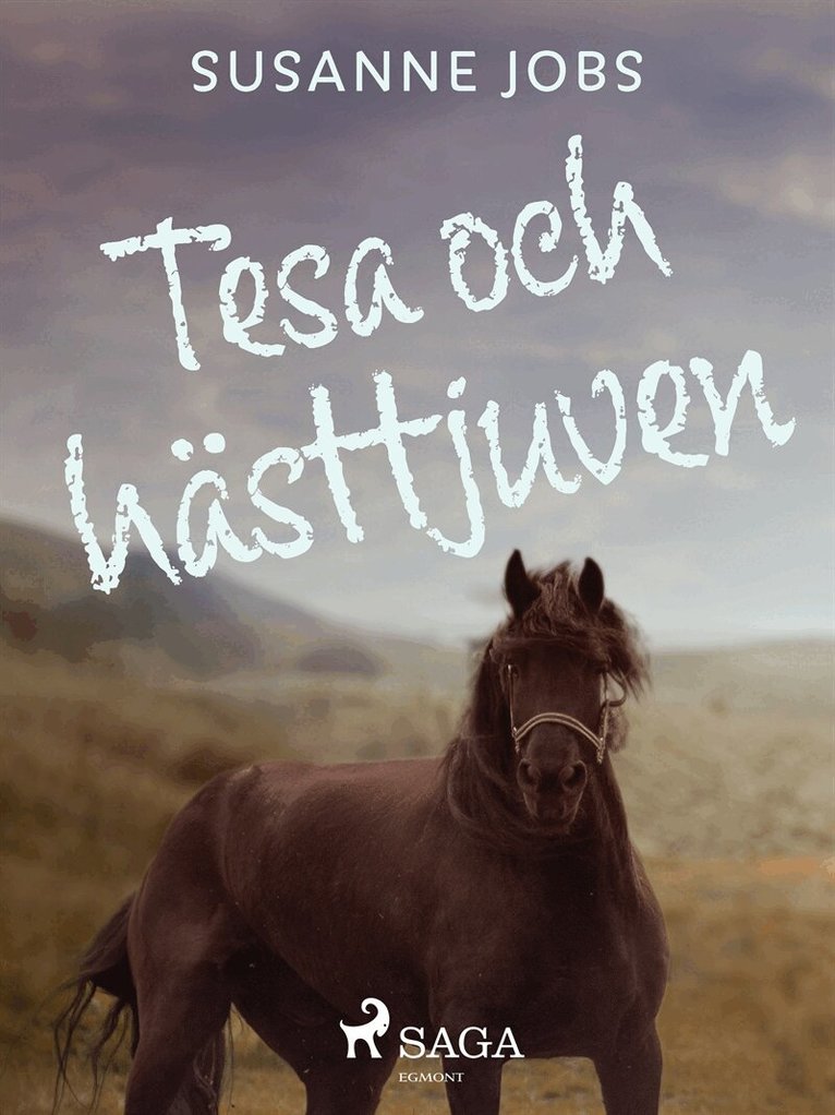 Susanne Jobs - Tesa och hästtjuven, E-bok