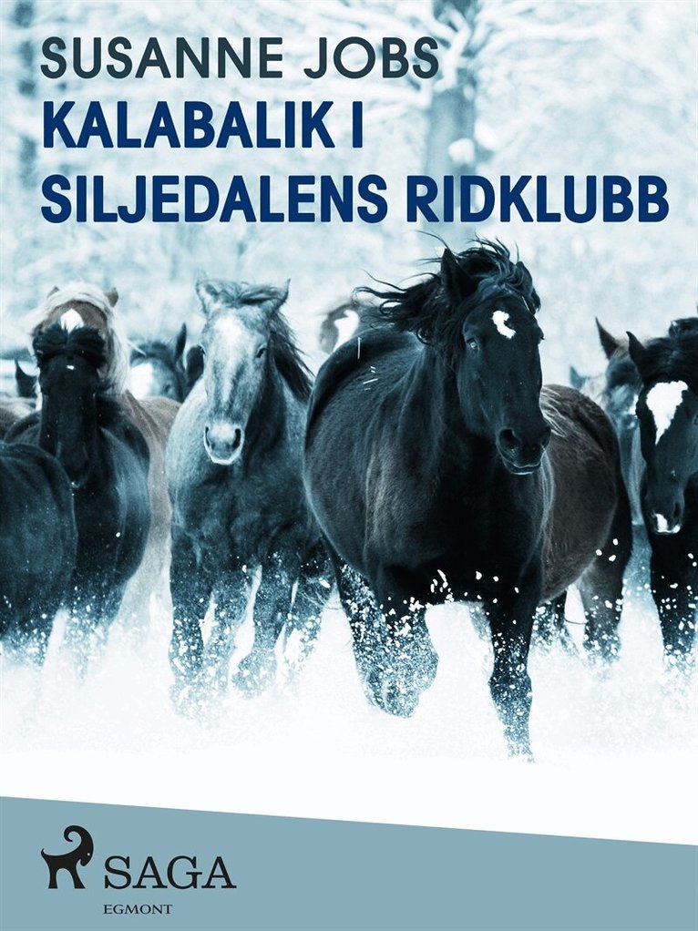 Susanne Jobs - Kalabalik i Siljedalens ridklubb, E-bok