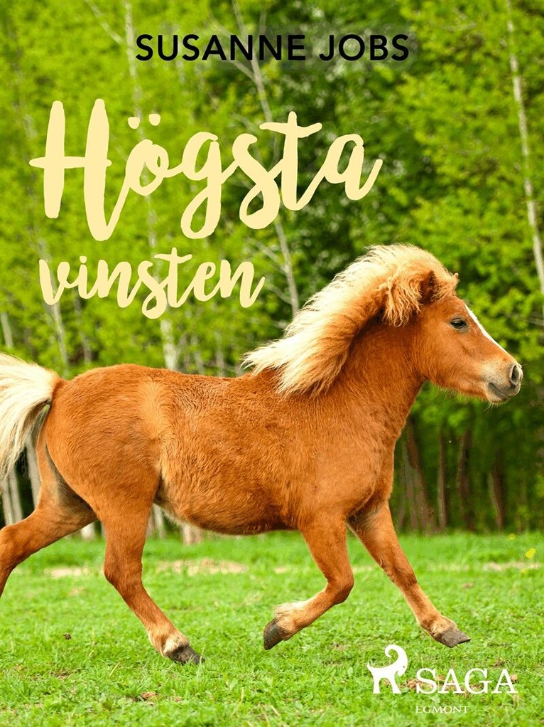 Susanne Jobs - Högsta vinsten, E-bok