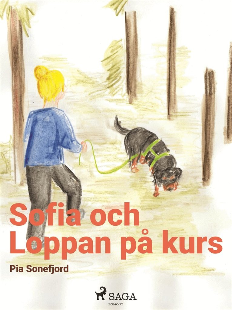 Pia Sonefjord - Sofia och Loppan på kurs, E-bok