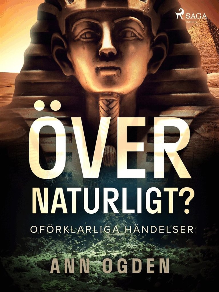 Ann Ogden - Övernaturligt? Oförklarliga händelser, E-bok