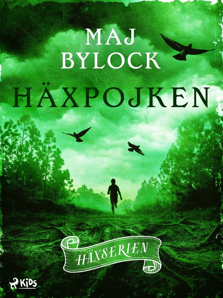 Maj Bylock - Häxpojken, E-bok