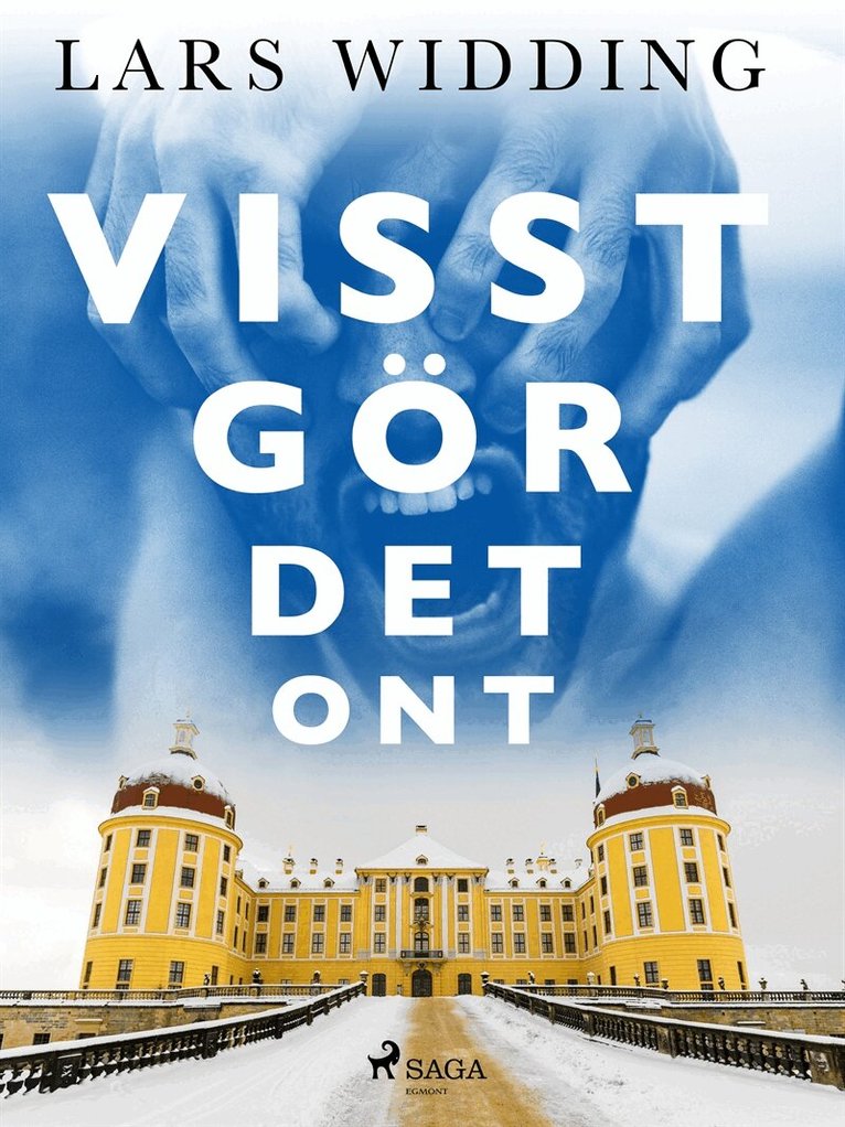 Lars Widding - Visst gör det ont, E-bok