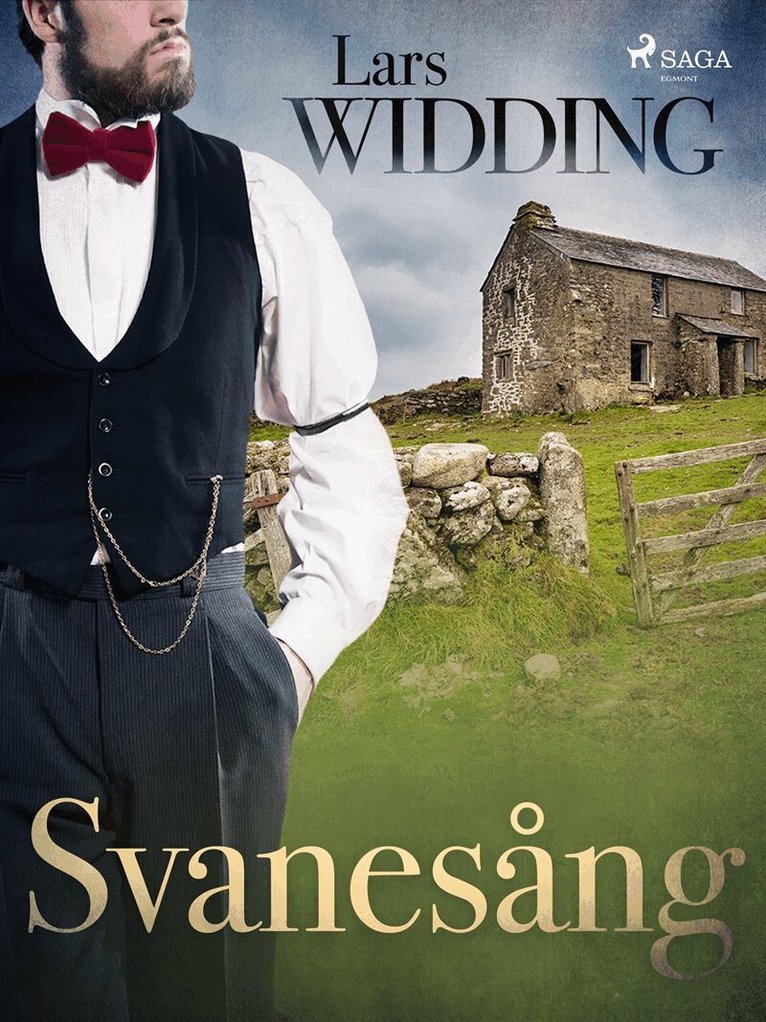 Lars Widding - Svanesång, E-bok