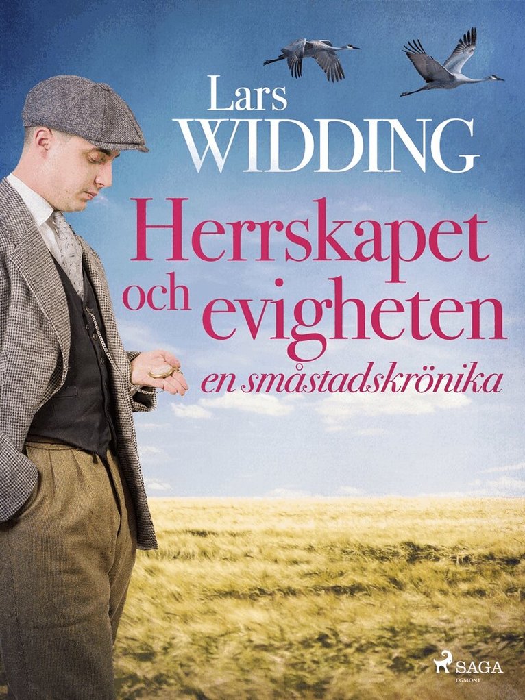 Lars Widding - Herrskapet och evigheten: en småstadskrönika, E-bok