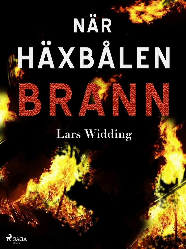 Lars Widding - När häxbålen brann, E-bok