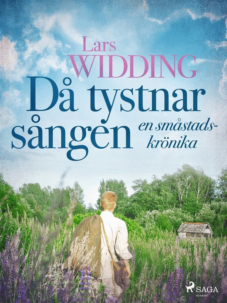 Lars Widding - Då tystnar sången: en småstadskrönika, E-bok