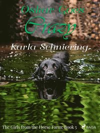 The Girls from the Horse Farm 5 - Oskar Goes Crazy