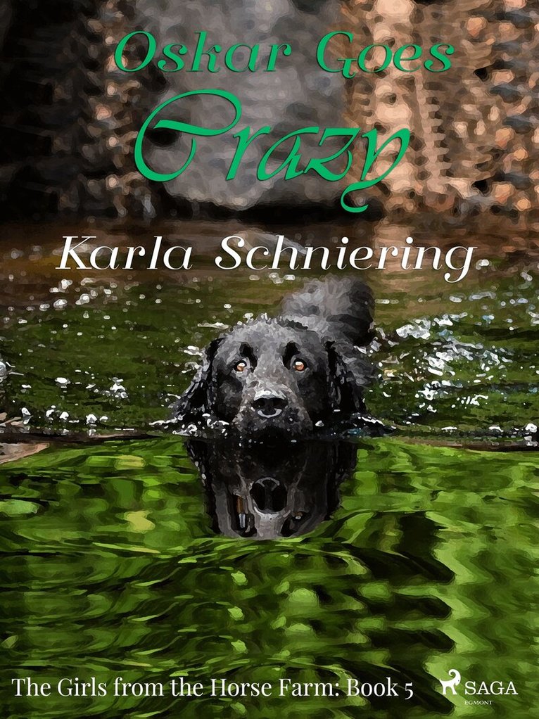 Karla Schniering - The Girls from the Horse Farm 5 - Oskar Goes Crazy, E-bok