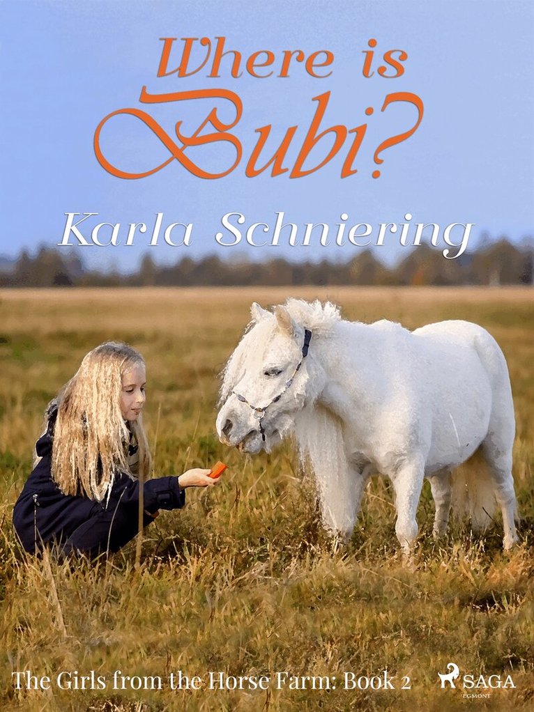Karla Schniering - The Girls from the Horse Farm 2 - Where is Bubi?, E-bok