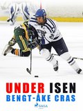 Under isen