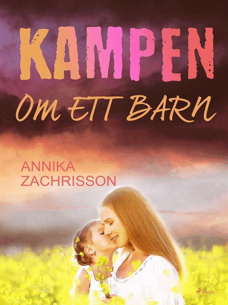 Annika Zachrisson - Kampen om ett barn, E-bok