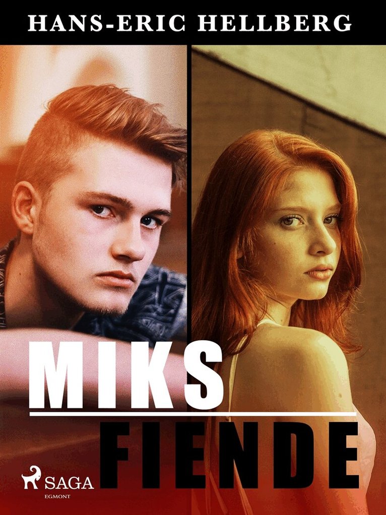Hans-Eric Hellberg - Miks fiende, E-bok