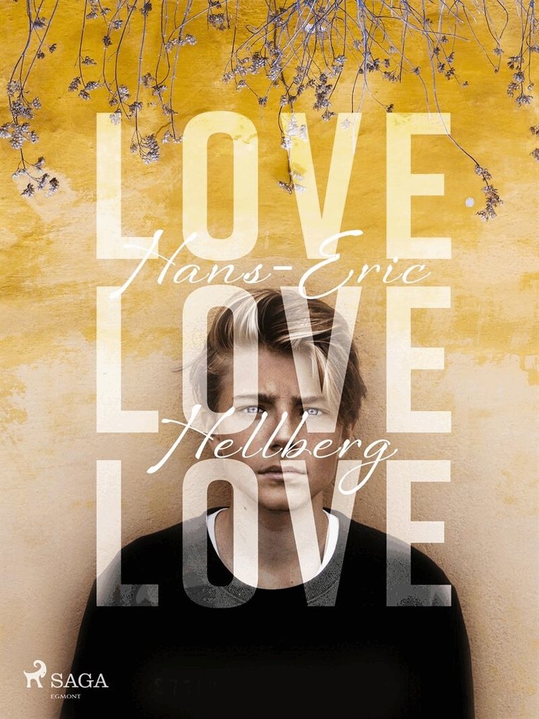 Hans-Eric Hellberg - Love love love, E-bok
