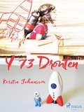 Y 73 Dronten