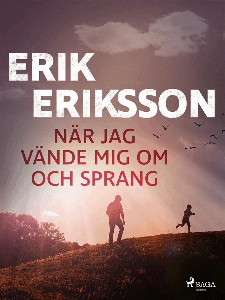 Erik Eriksson - När jag vände mig om och sprang, E-bok