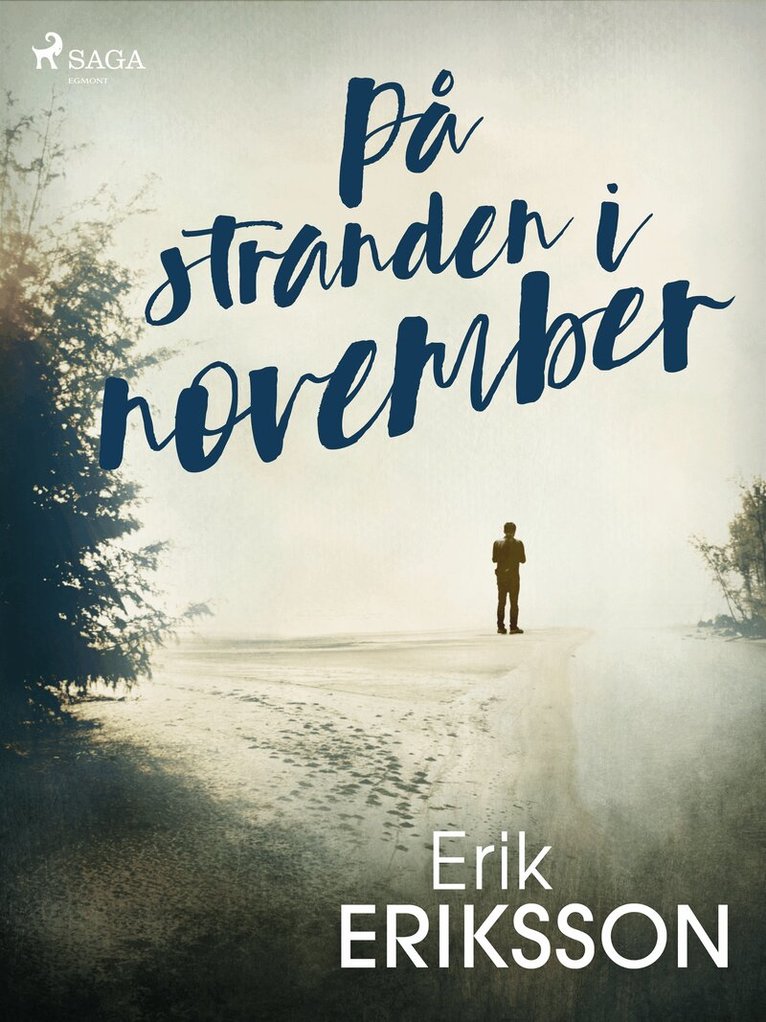 Erik Eriksson - På stranden i november, E-bok