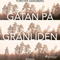 e-Bok Gåtan på Granliden <br />                        Ljudbok