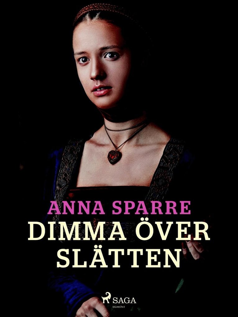 Anna Sparre - Dimma över slätten, E-bok