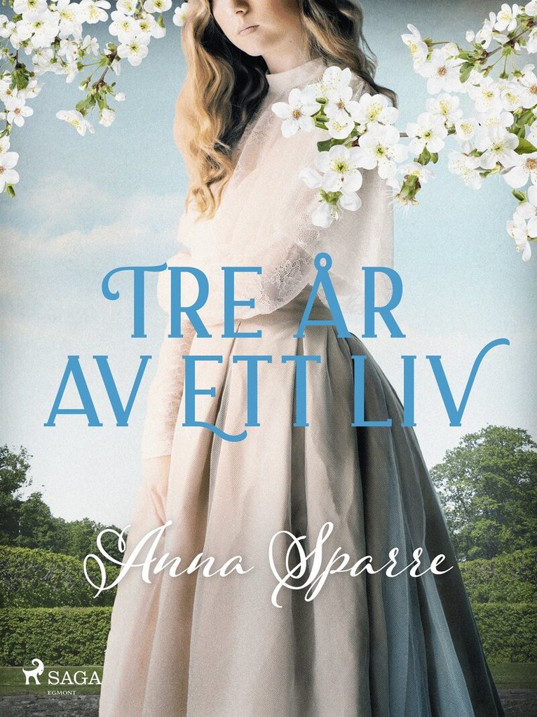 Anna Sparre - Tre år av ett liv, E-bok
