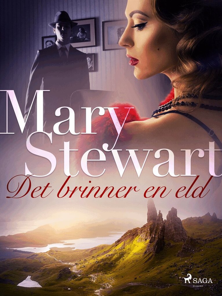 Mary Stewart - Det brinner en eld, E-bok