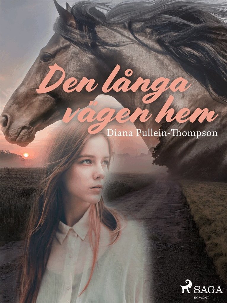 Diana Pullein-Thompson - Den långa vägen hem, E-bok