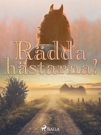 Den långa vägen hem - Diana Pullein-Thompson - Ebok (9788711784075 