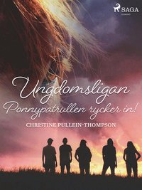 Den långa vägen hem - Diana Pullein-Thompson - Ebok (9788711784075 