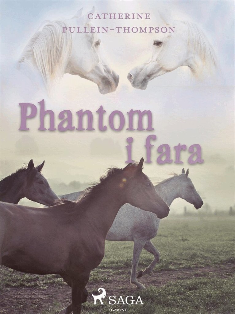 Christine Pullein-Thompson - Phantom i fara, E-bok