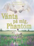 V�nta p� mig, Phantom