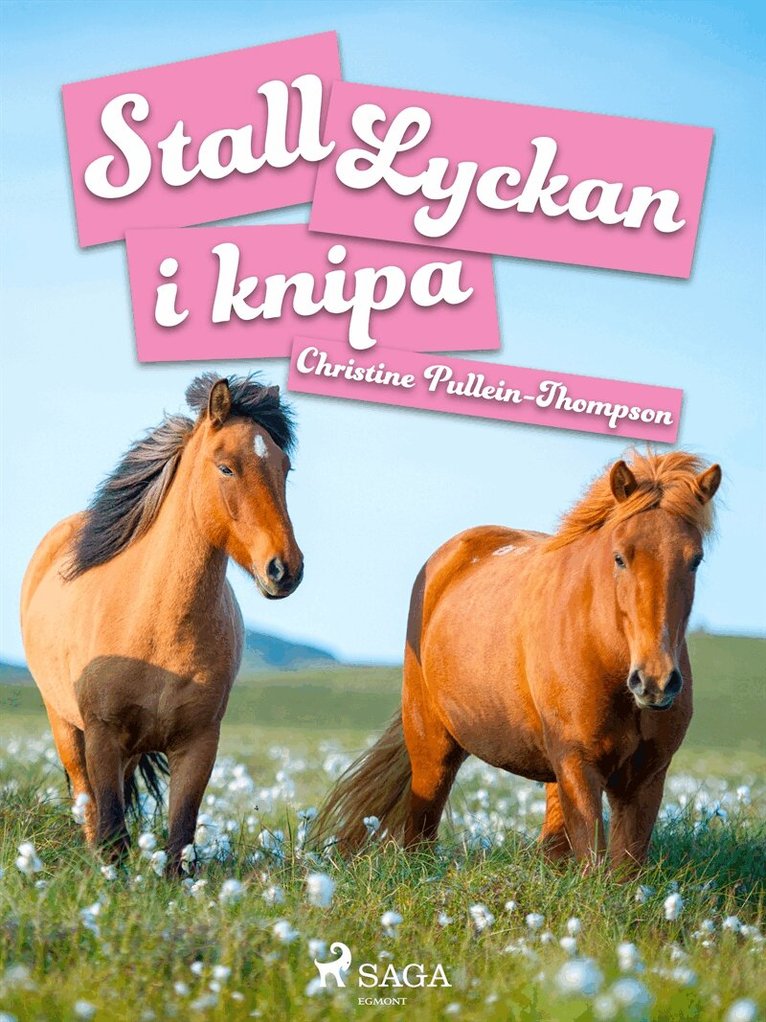 Christine Pullein-Thompson - Stall Lyckan i knipa, E-bok