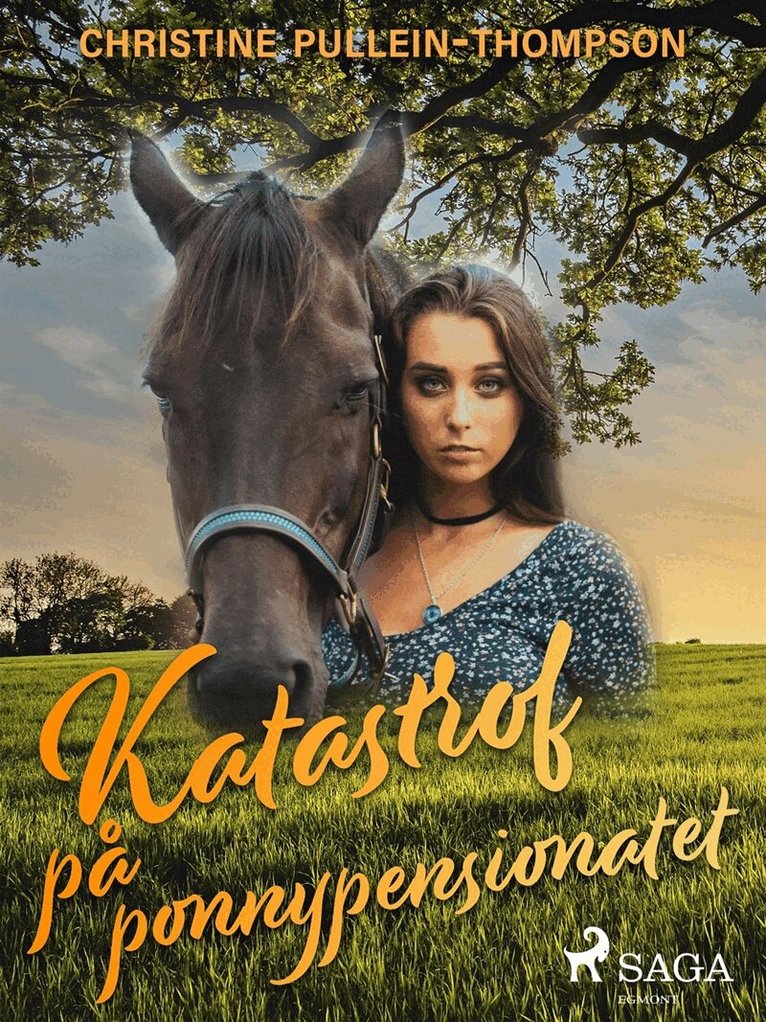 Christine Pullein Thompson - Katastrof på ponnypensionatet, E-bok