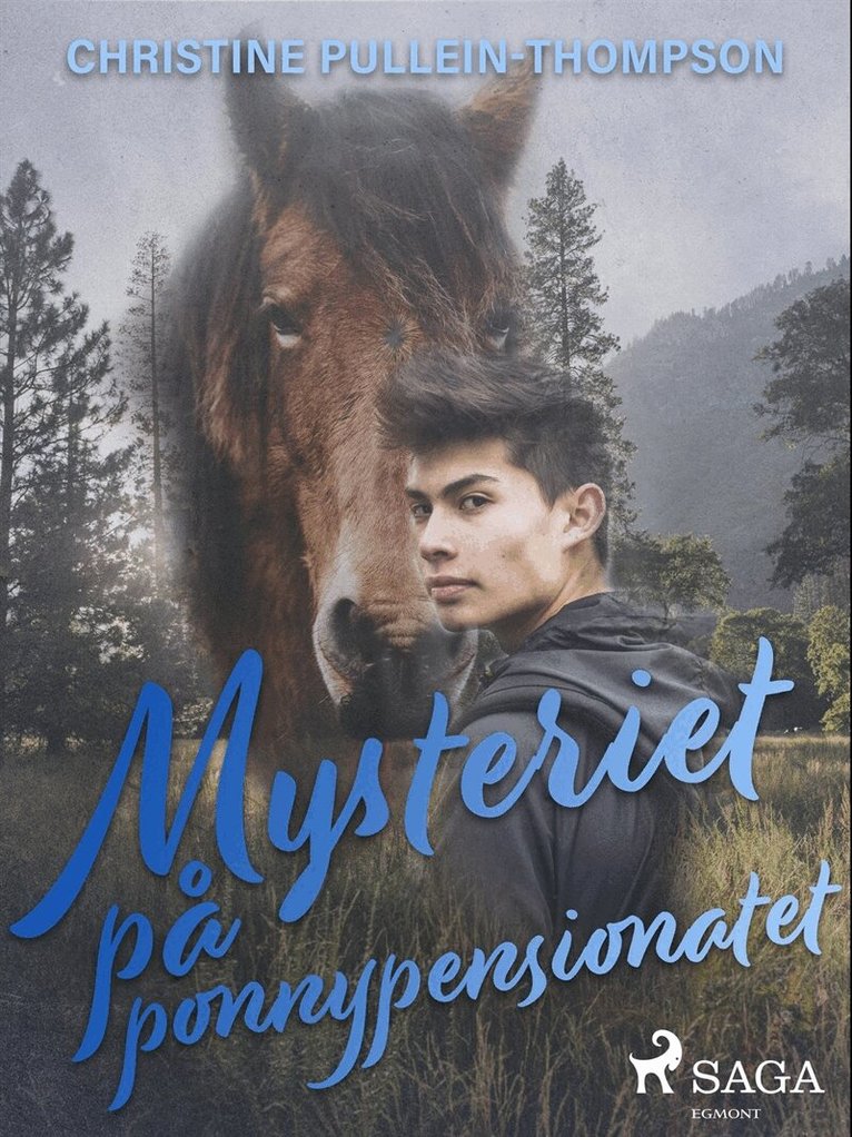 Christine Pullein Thompson - Mysteriet på ponnypensionatet, E-bok