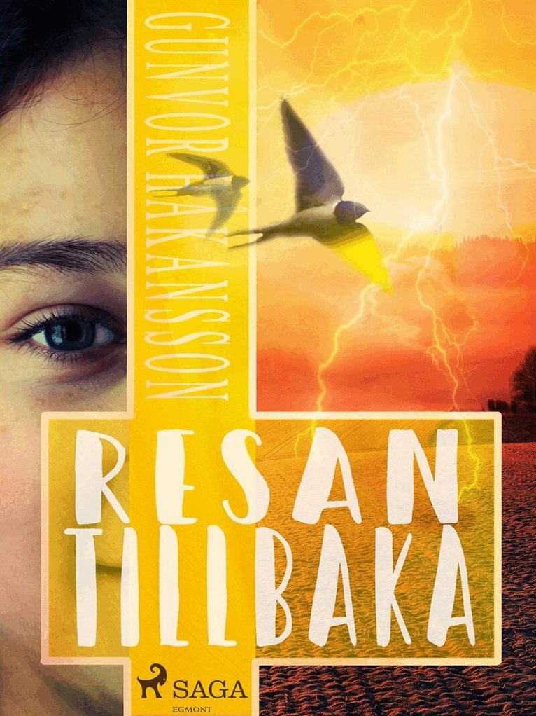 Gunvor Håkansson - Resan tillbaka, E-bok