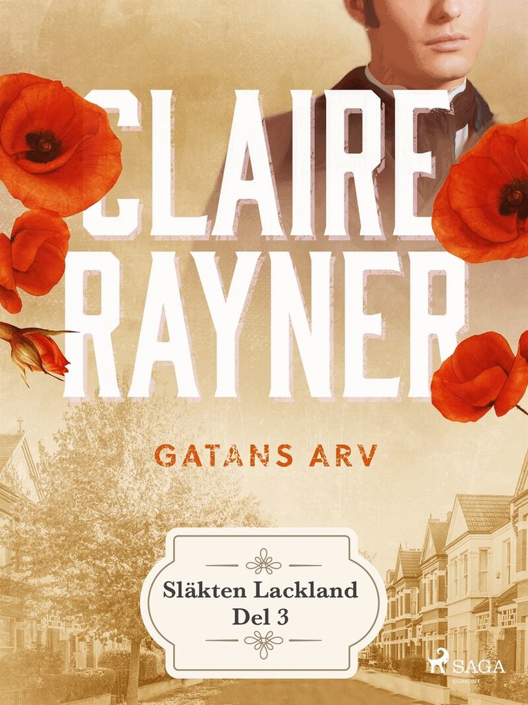 Claire Rayner - Gatans arv, E-bok