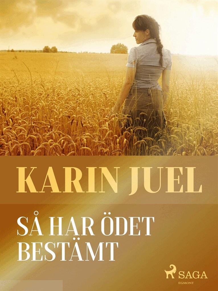 karin juel dam - Så har ödet bestämt, E-bok