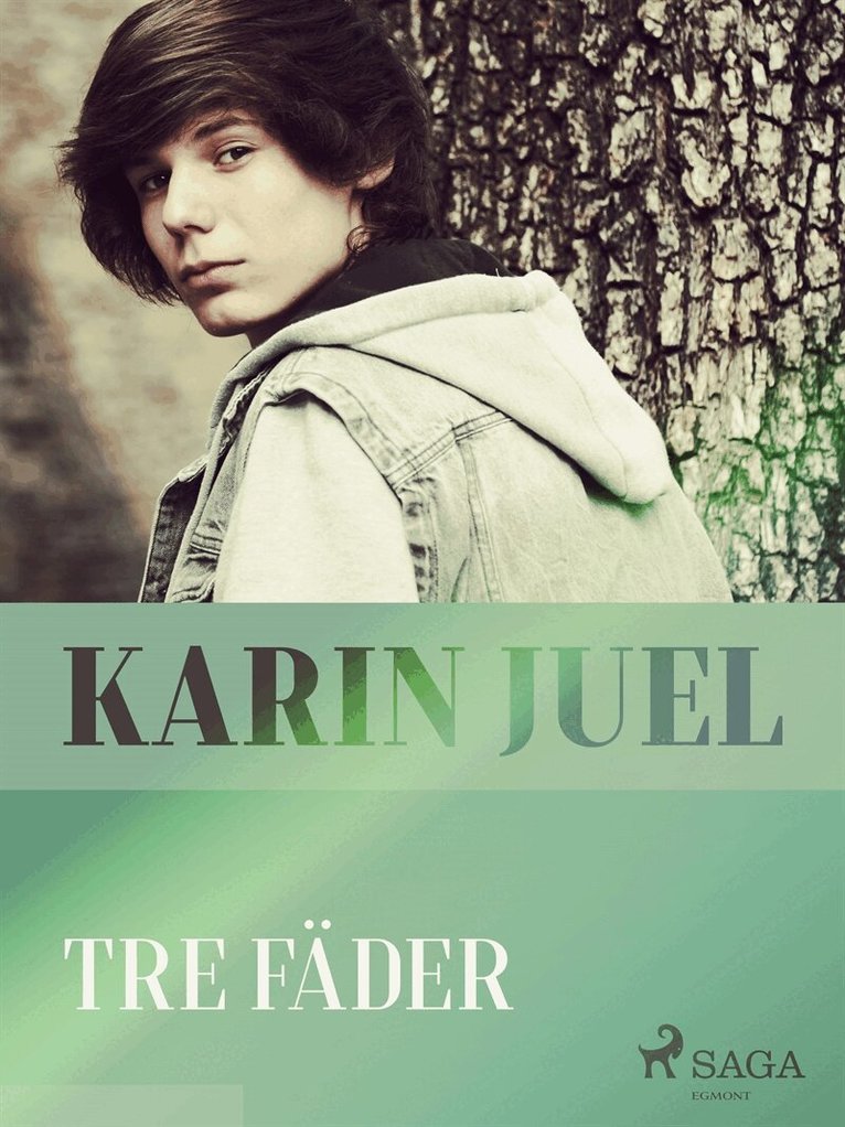 karin juel dam - Tre fäder, E-bok