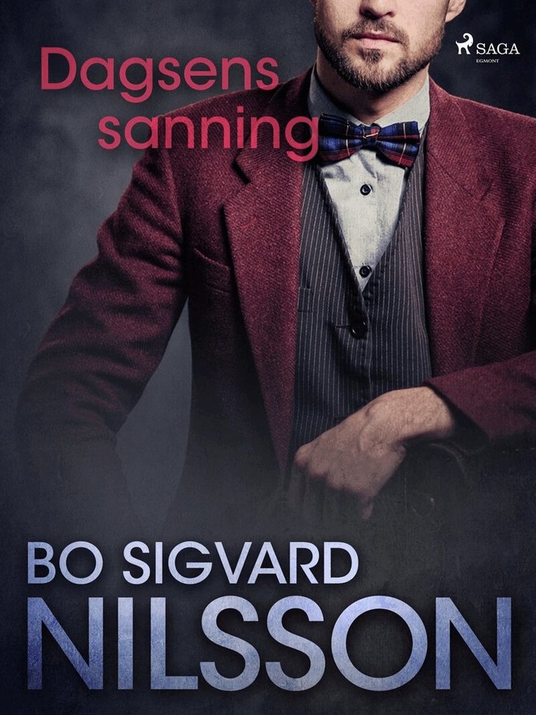 Bo Sigvard Nilsson - Dagsens sanning, E-bok