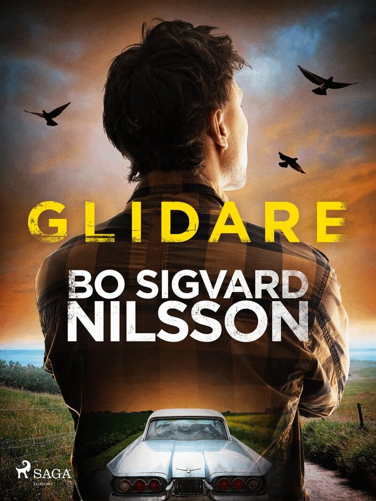 Bo Sigvard Nilsson - Glidare, E-bok