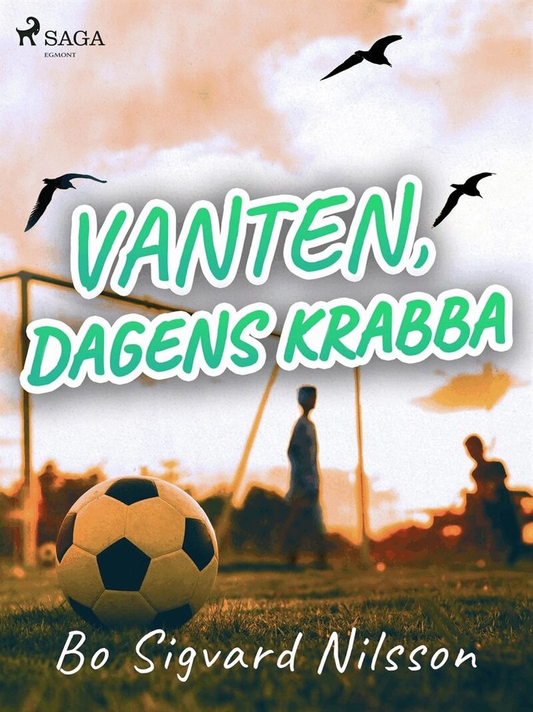 Bo Sigvard Nilsson - Vanten, dagens krabba, E-bok