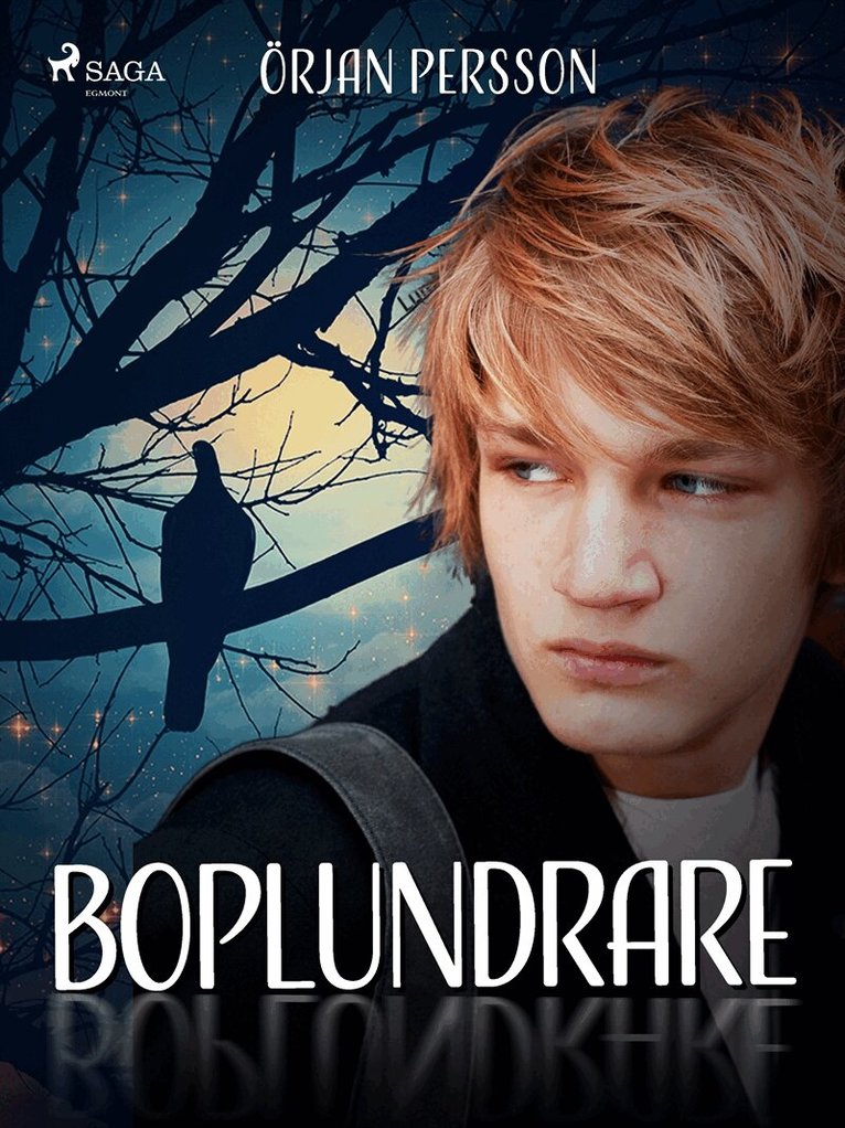 Örjan Persson - Boplundrare, E-bok