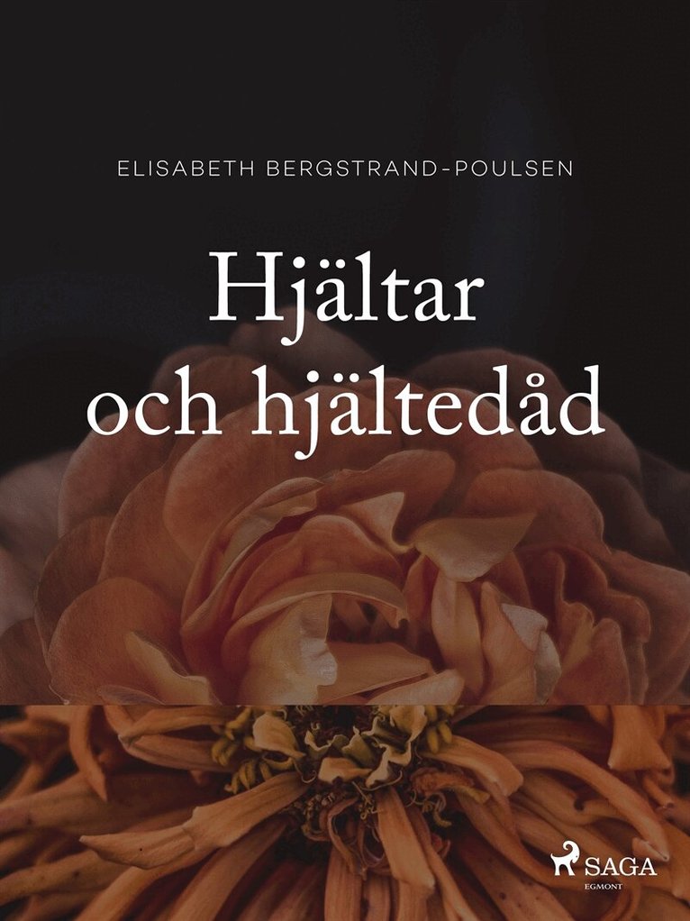 Elisabeth Bergstrand Poulsen - Hjältar och hjältedåd, E-bok