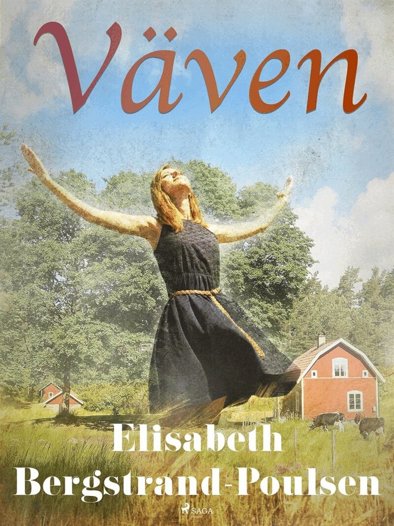 Elisabeth Bergstrand-Poulsen - Väven, E-bok