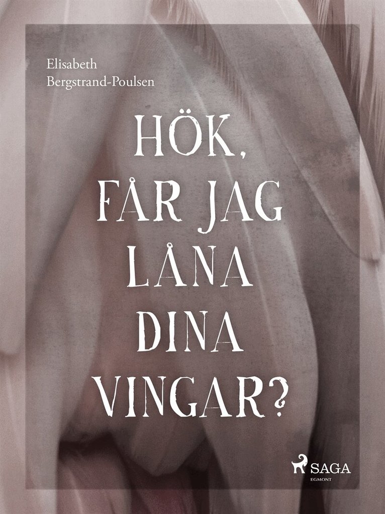 Elisabeth Bergstrand Poulsen - Hök, får jag låna dina vingar?, E-bok