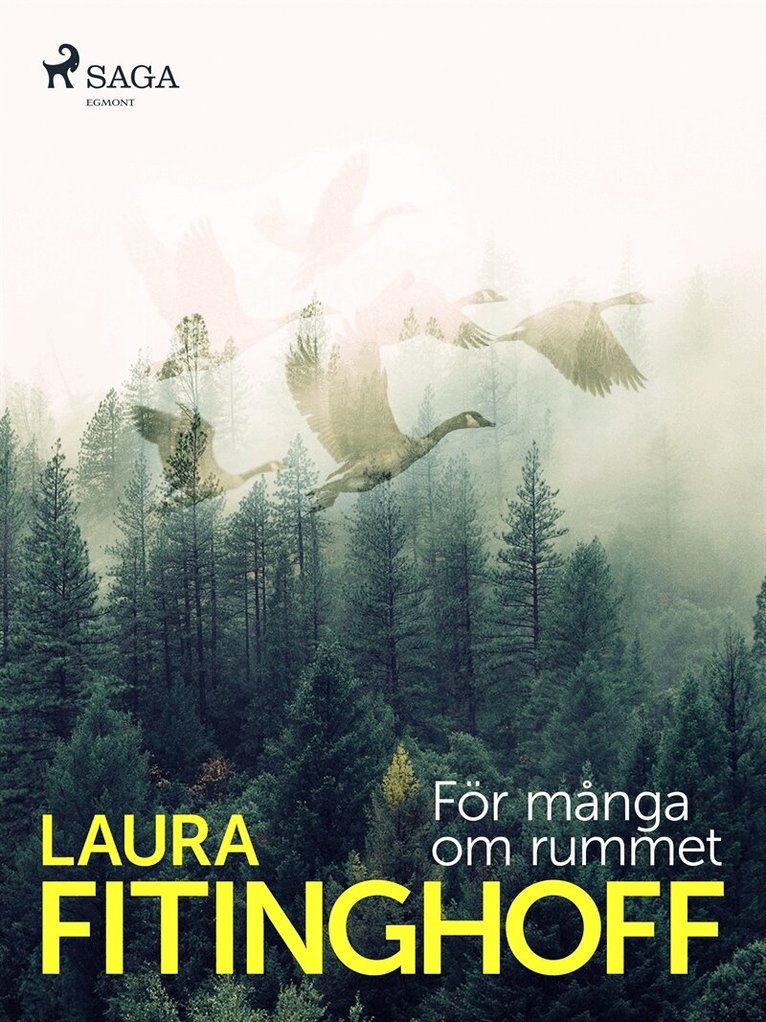 Laura Fitinghoff, Diverse författare - För många om rummet, E-bok