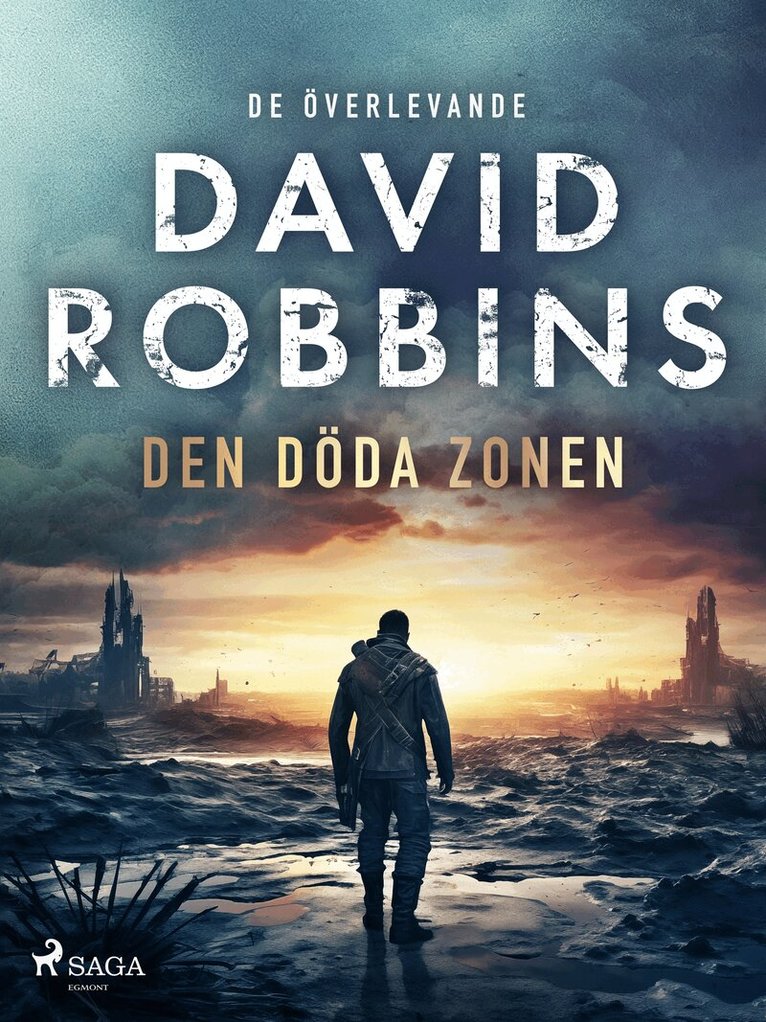David Robbins - Den döda zonen, E-bok